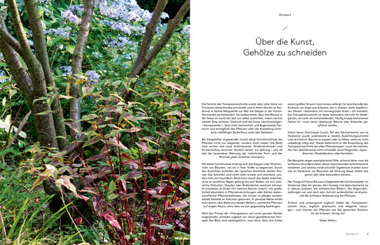 Transparenzschnitt – Die revolutionäre Methode für naturschöne Gehölze