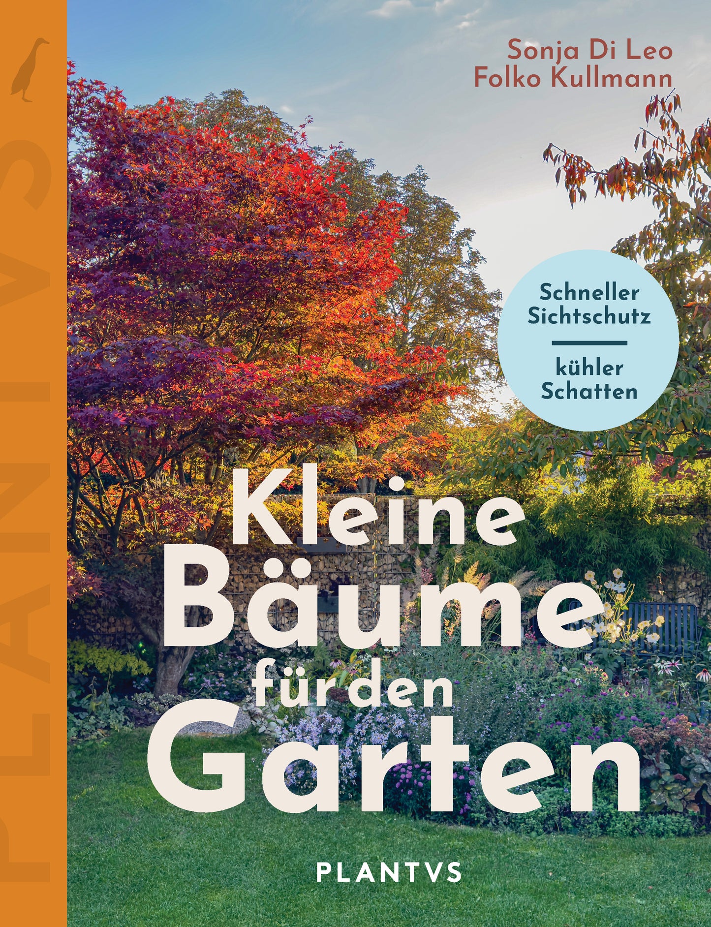 Kleine Bäume für den Garten – Schneller Sichtschutz. Kühler Schatten