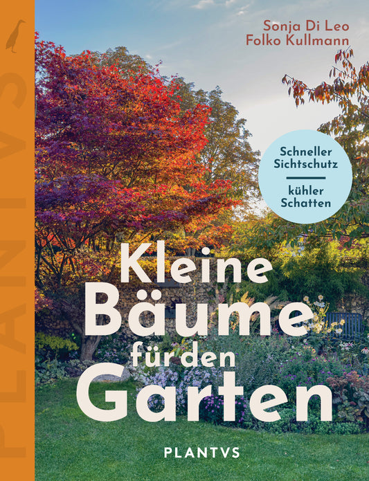 Kleine Bäume für den Garten – Schneller Sichtschutz. Kühler Schatten