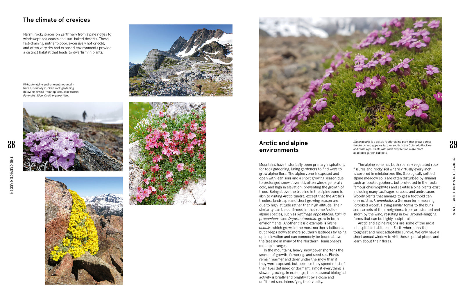 Doppelseite: Das Klima der Felsspalten und arktisch-alpine Standorte – The Crevice Garden, S. 28–29