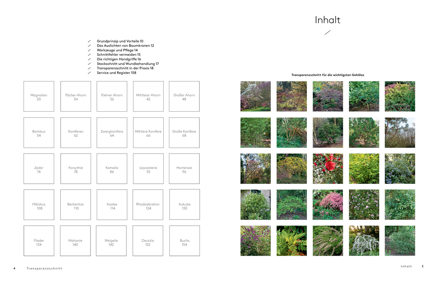 Transparenzschnitt – Die revolutionäre Methode für naturschöne Gehölze