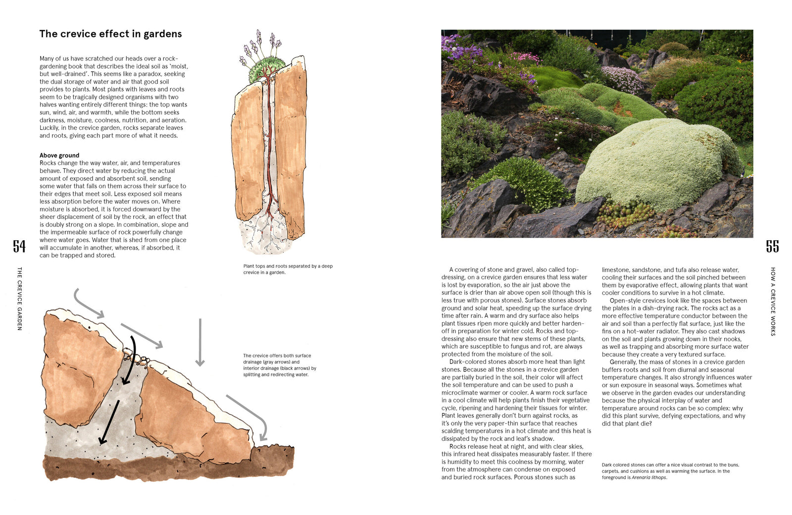 Doppelseite: Wie der Crevice-Effekt im Garten funktioniert, mit Schnittzeichnungen von Kenton Seth – The Crevice Garden, S. 54–55