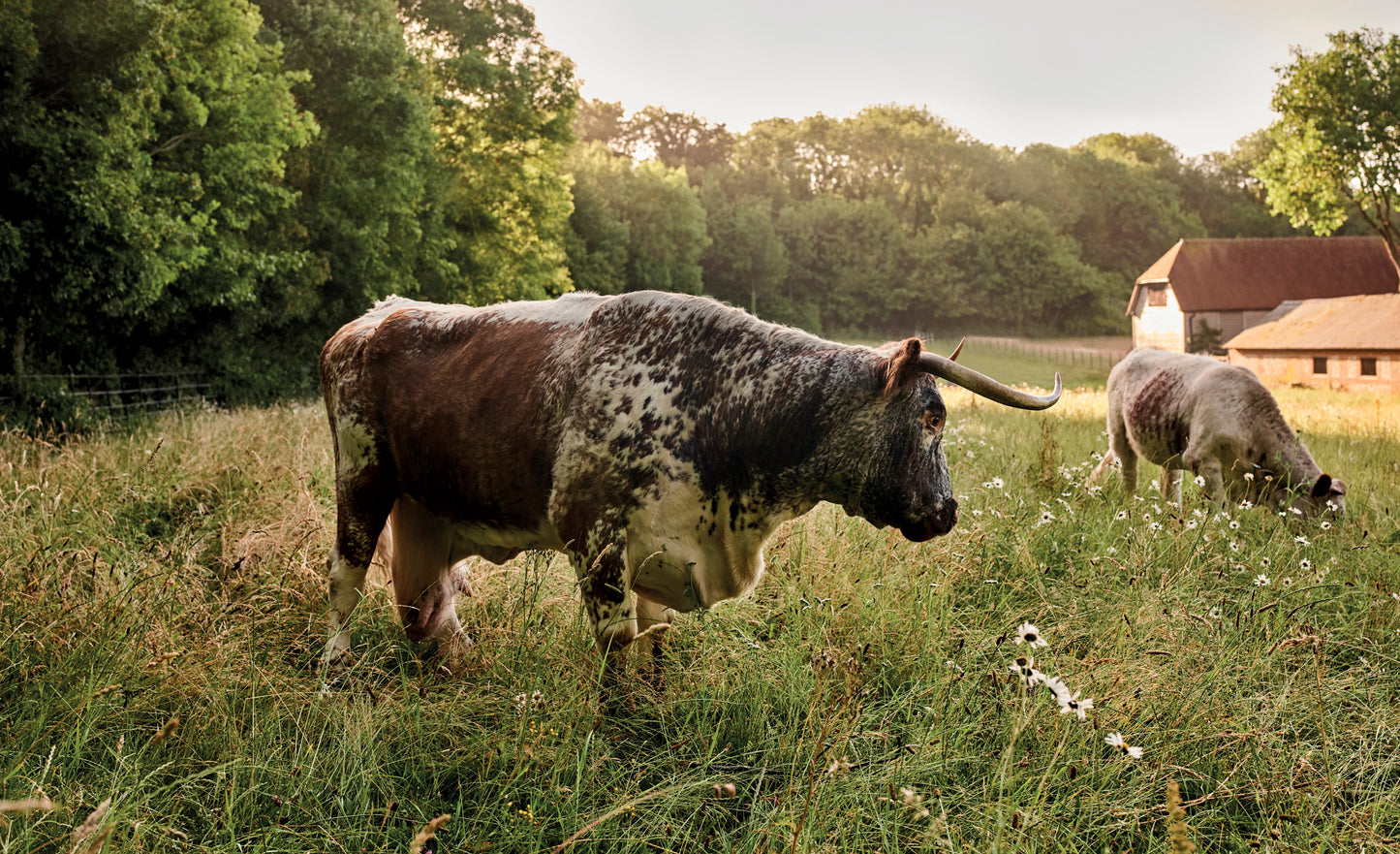 Pastorale Gärten – wo Natur auf Gartenkunst trifft.