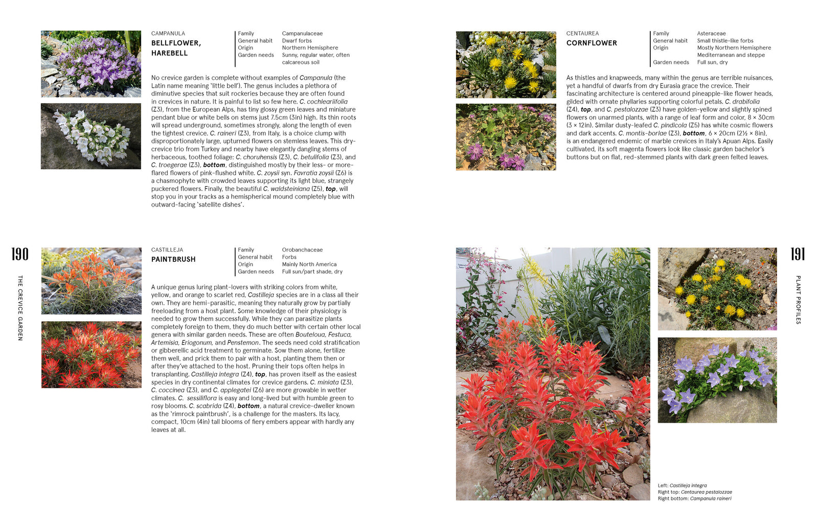 Doppelseite: Pflanzenporträts mit Standort- und Härteangaben – The Crevice Garden, S. 190–191