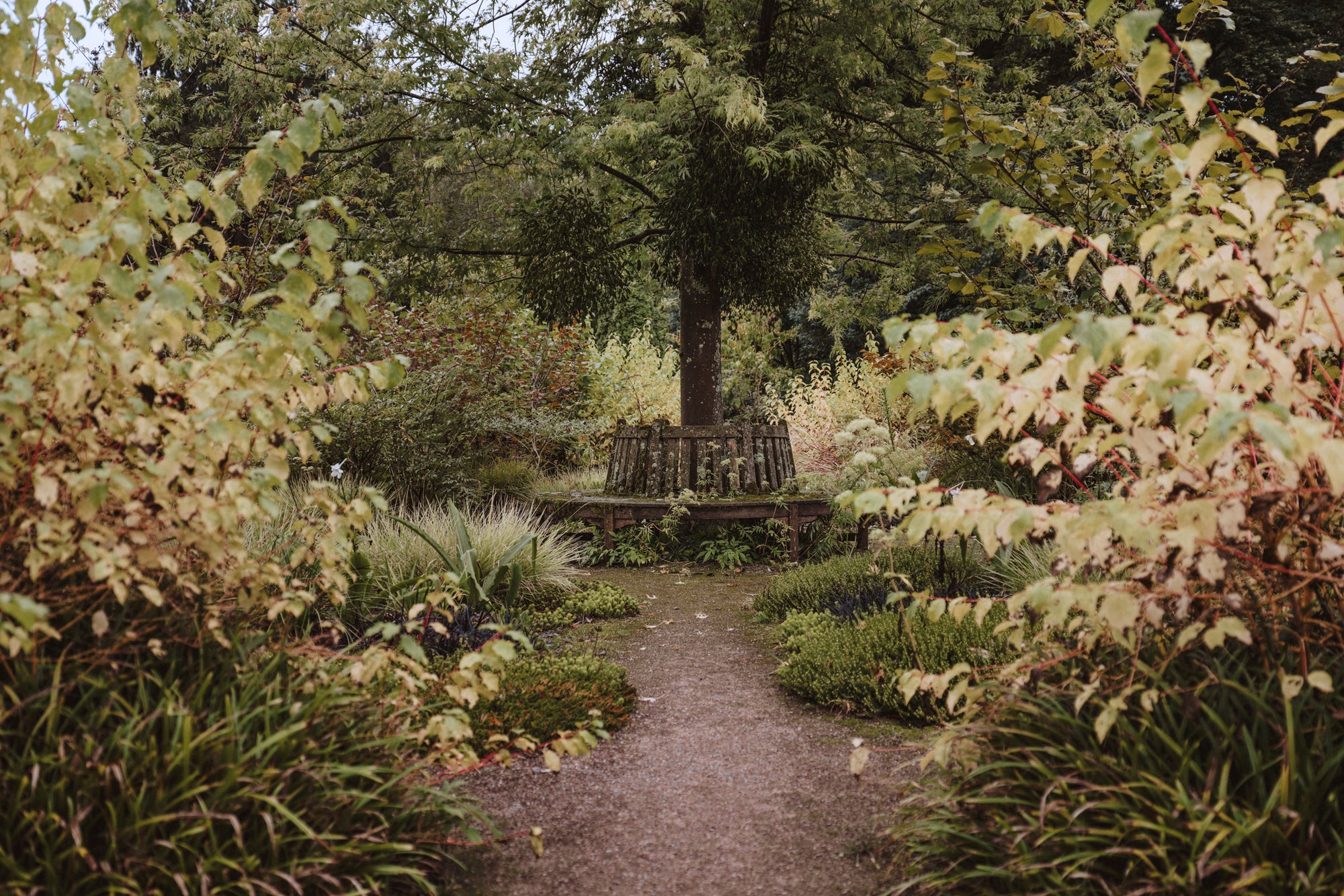 Gartenfotografie Kristijan Matic 