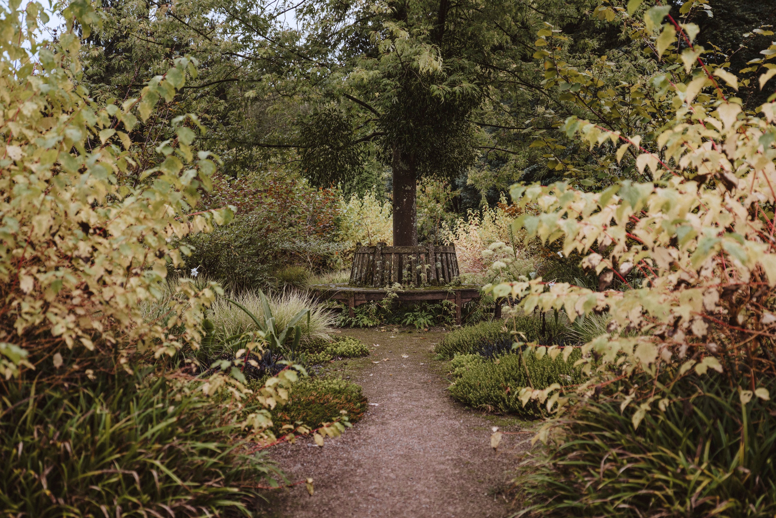 Gartenfotografie Kristijan Matic 