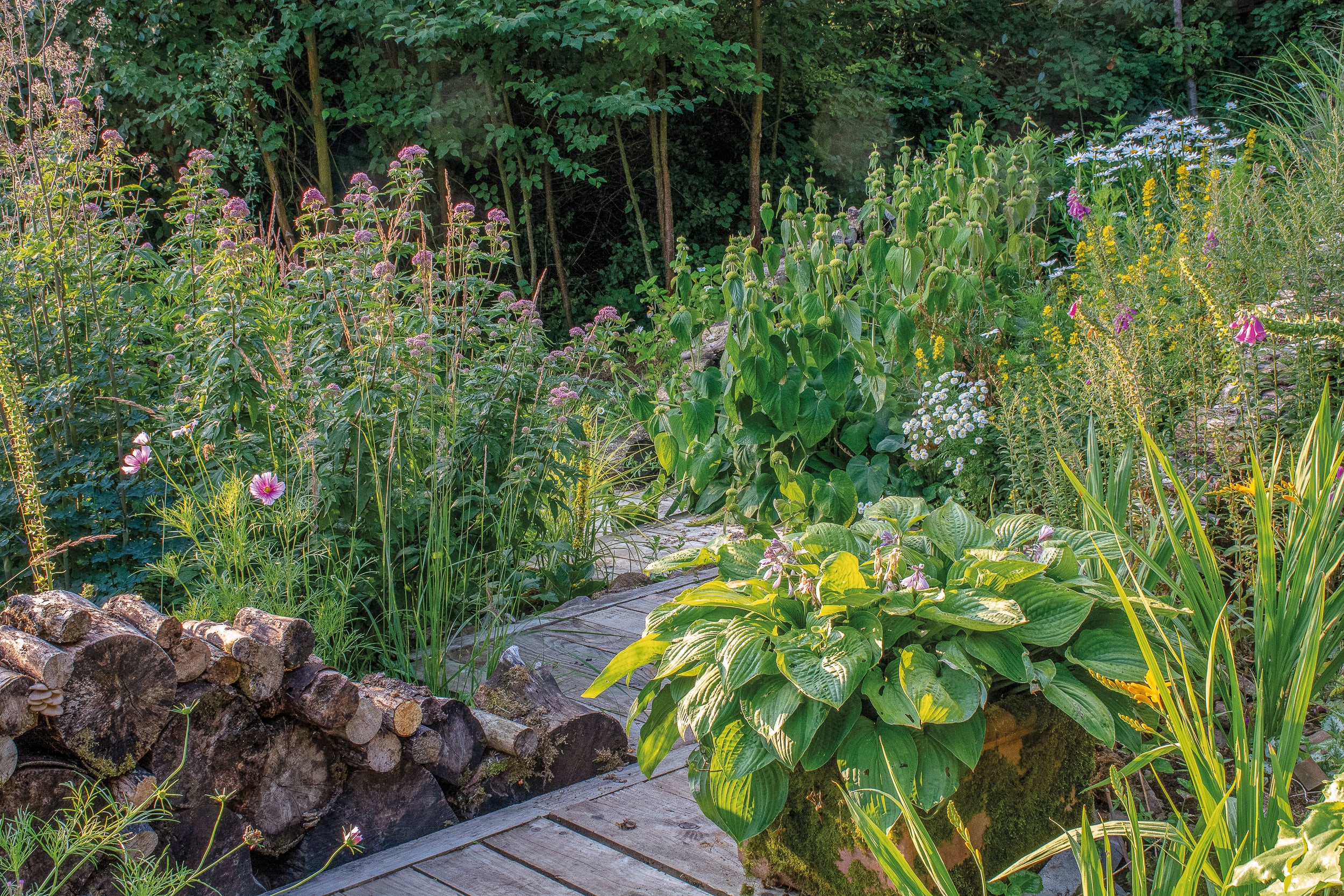 Regelmäßig angeordnete Holzstapel in Nigel Dunnetts eigenem Garten