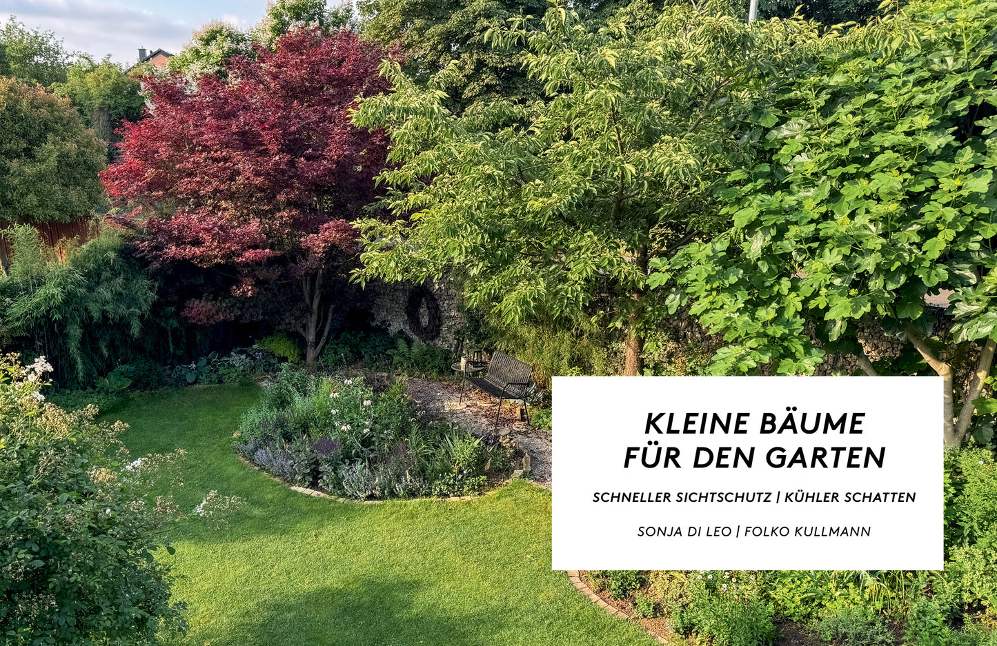 Innentitelseite Kleine Bäume für den Garten – Stadtgarten mit rotlaubigem Fächer-Ahorn und Feigenbaum, Sonja Di Leo und Folko Kullmann