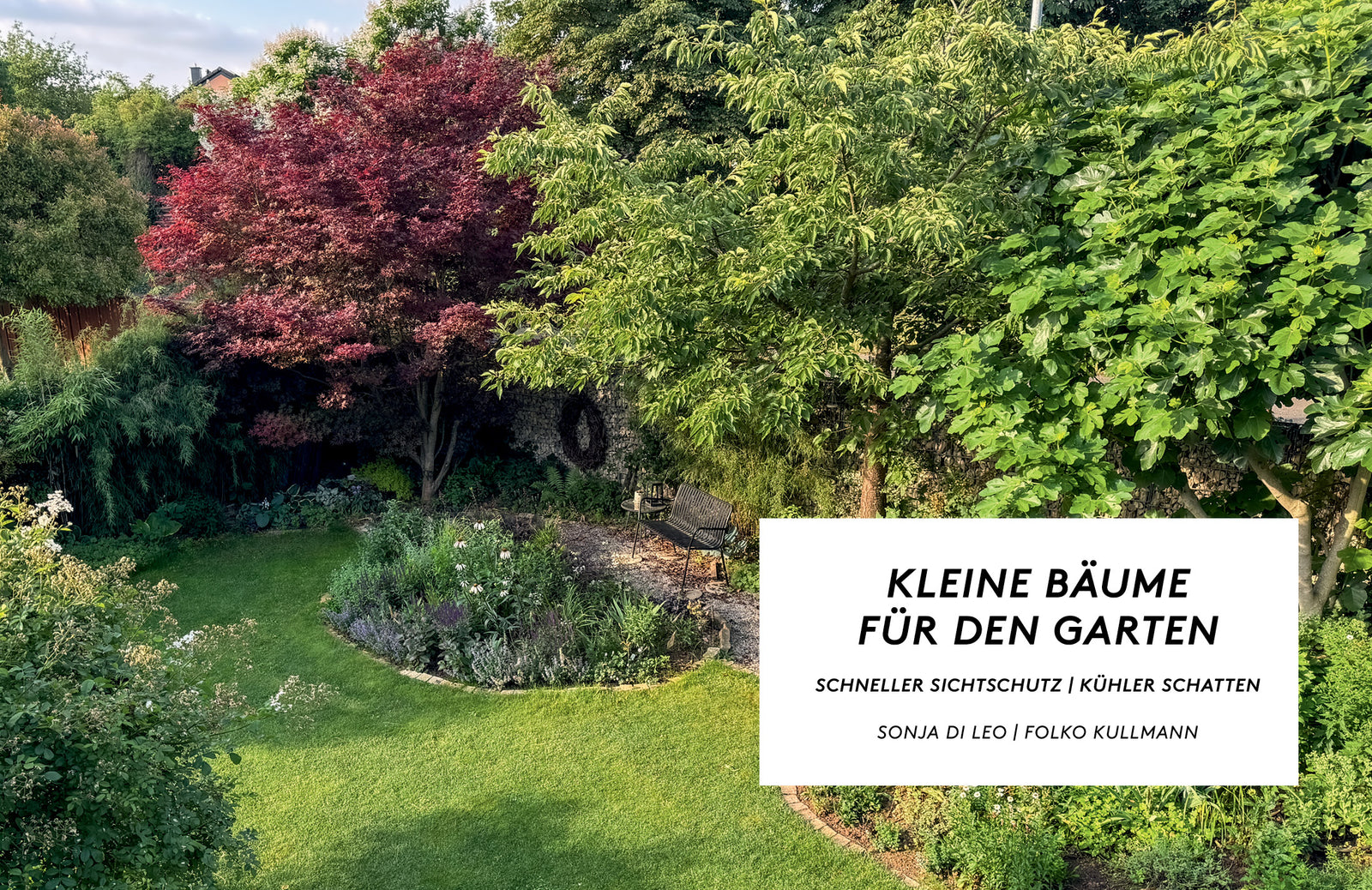 Kleiner Stadtgarten mit rotlaubigem Fächer-Ahorn — Beispiel aus Kleine Bäume für den Garten