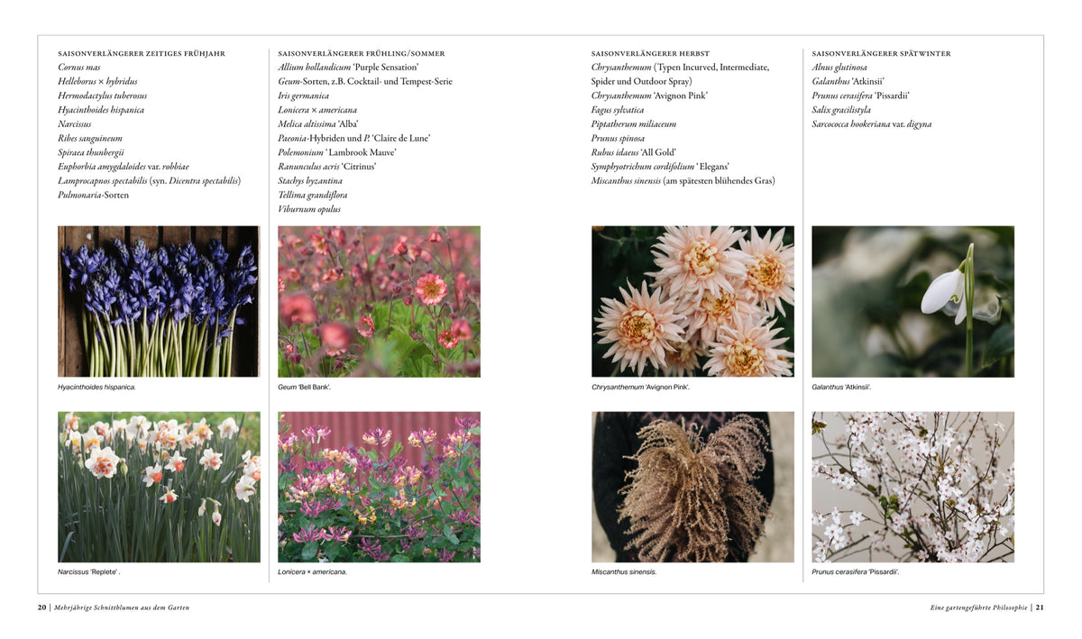 Saisonkalender: Schnittblumen von Frühjahr bis Winter