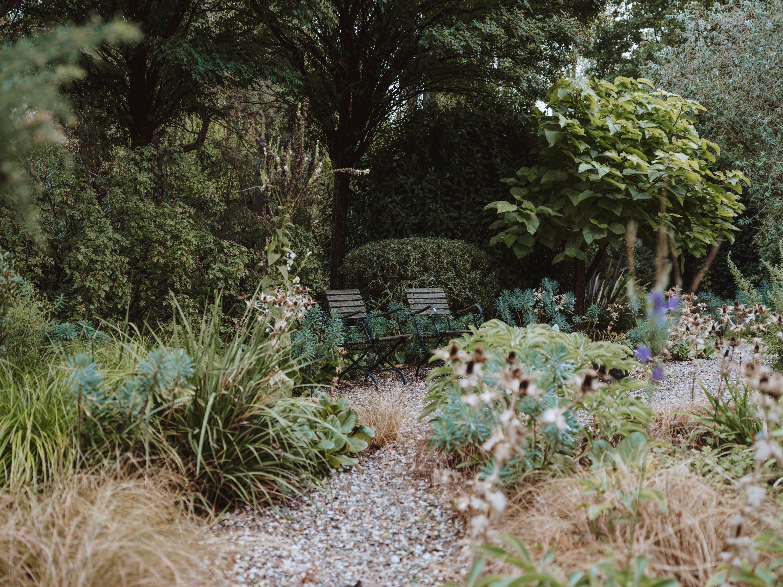 Gestalteter naturnaher Garten mit Stauden, Kiesweg und Sitzplatz – Garteninspiration von PLANTVS