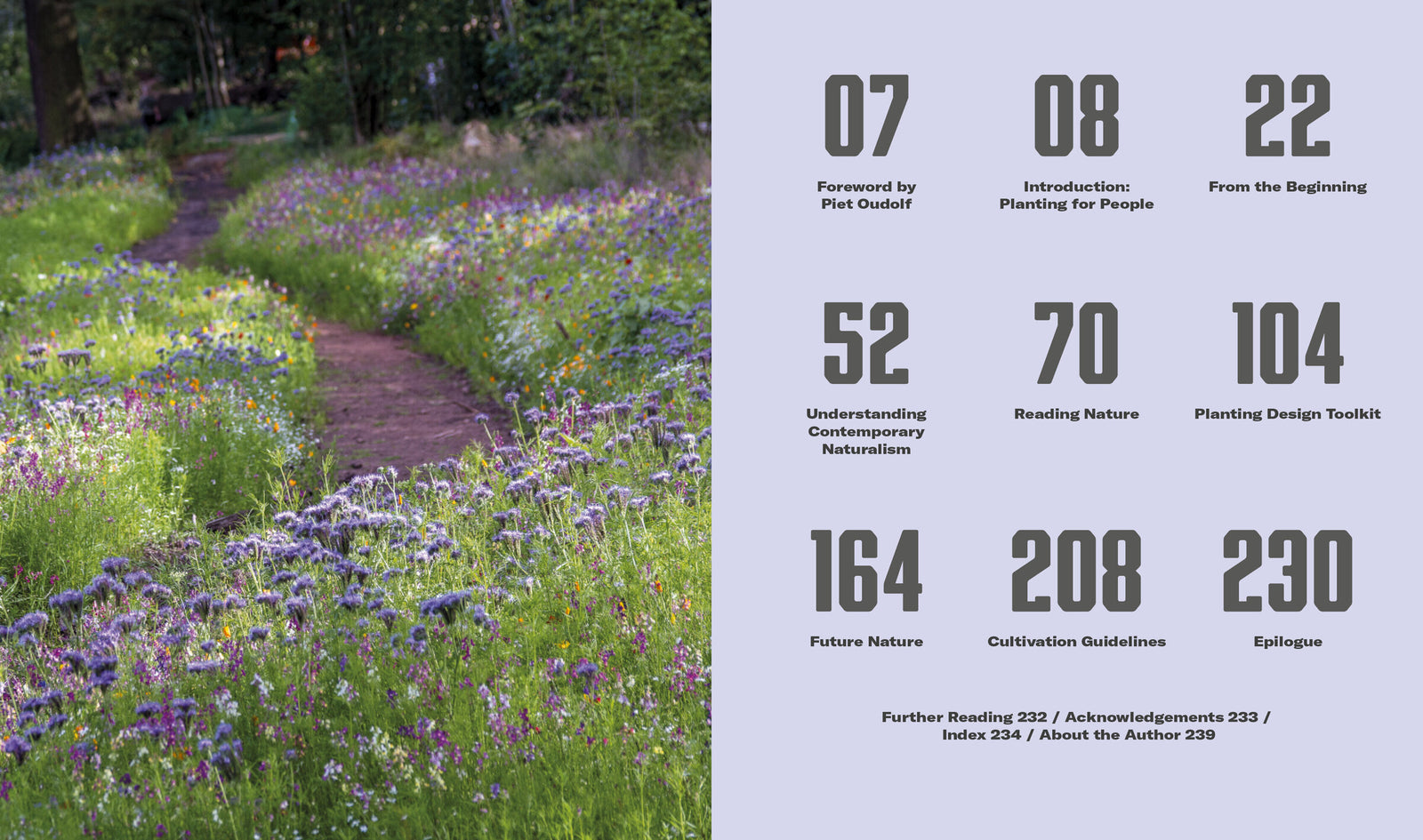 Doppelseite: Phacelia-Wiese und Inhaltsverzeichnis – Naturalistic Planting Design, S. 4–5