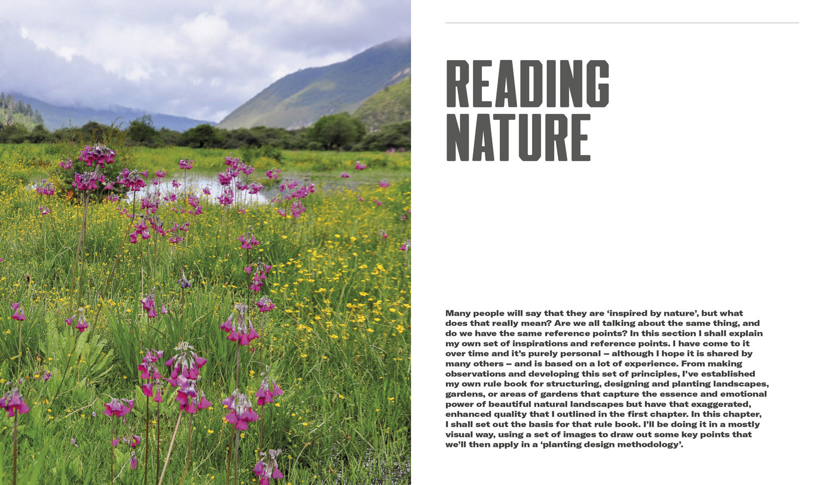 Doppelseite: Kapitelauftakt ‚Reading Nature‘ mit Bergwiese – Naturalistic Planting Design, S. 70–71