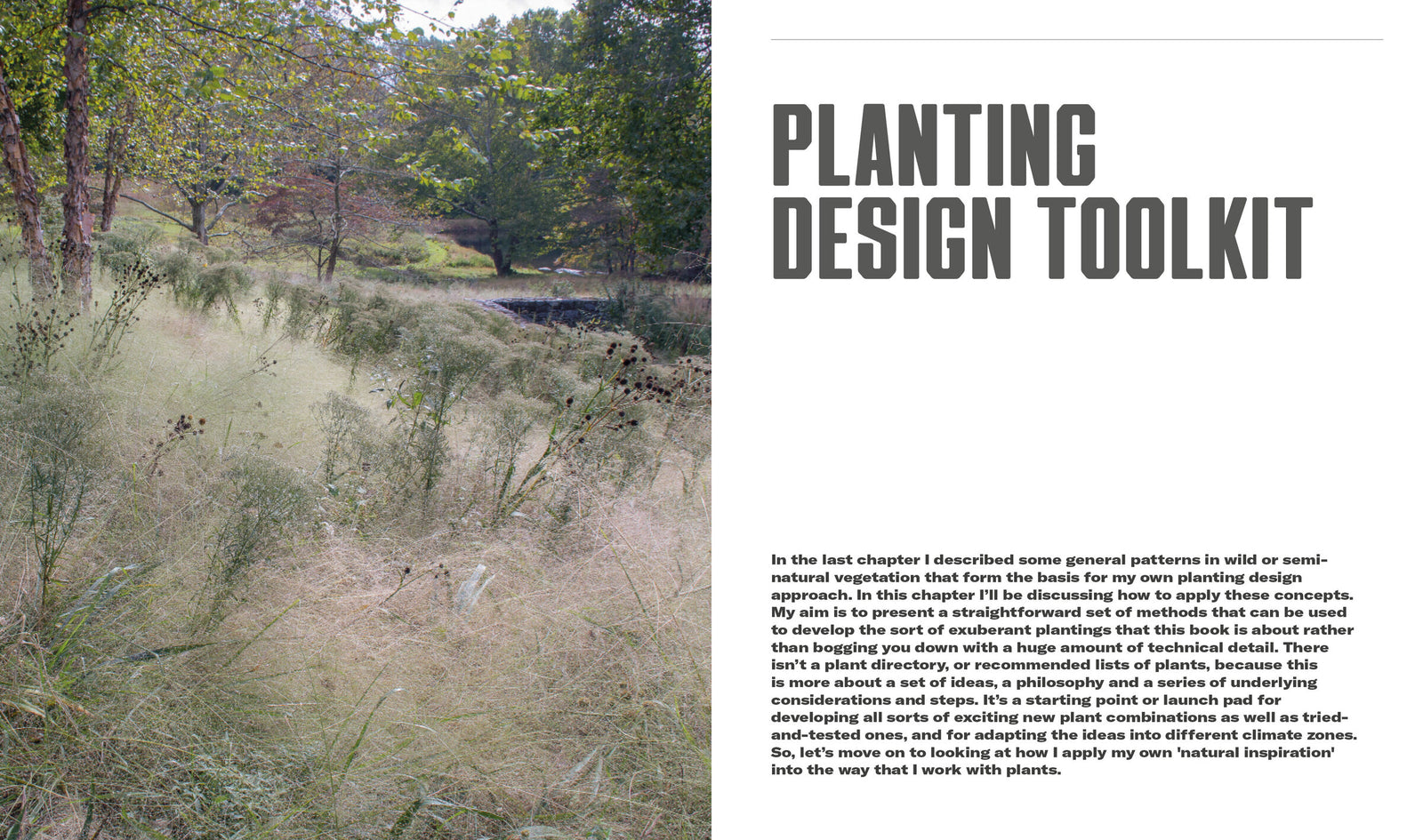 Doppelseite: Kapitelauftakt ‚Planting Design Toolkit‘ – Naturalistic Planting Design, S. 104–105
