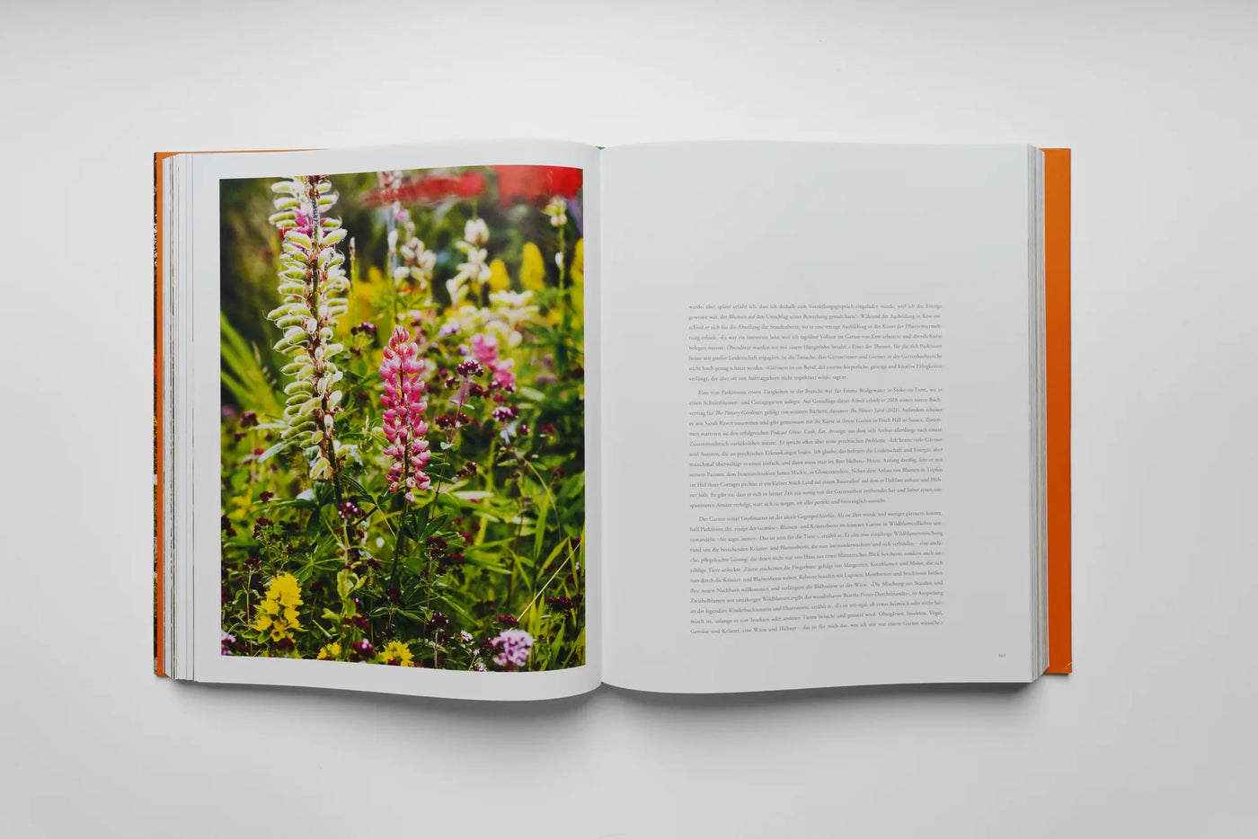 Doppelseite aus Pastorale Gärten: Stauden- und Blumenpflanzung im Hucknall Garden