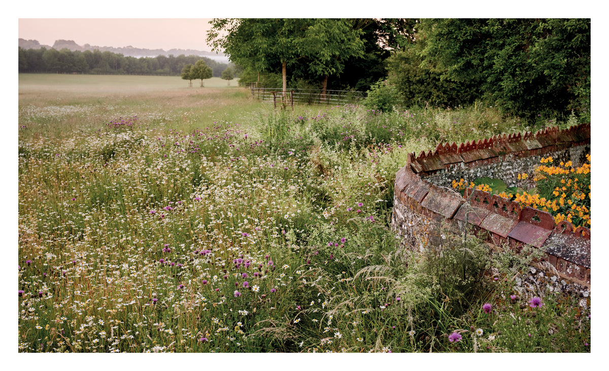 Pastorale Gärten – wo Natur auf Gartenkunst trifft.