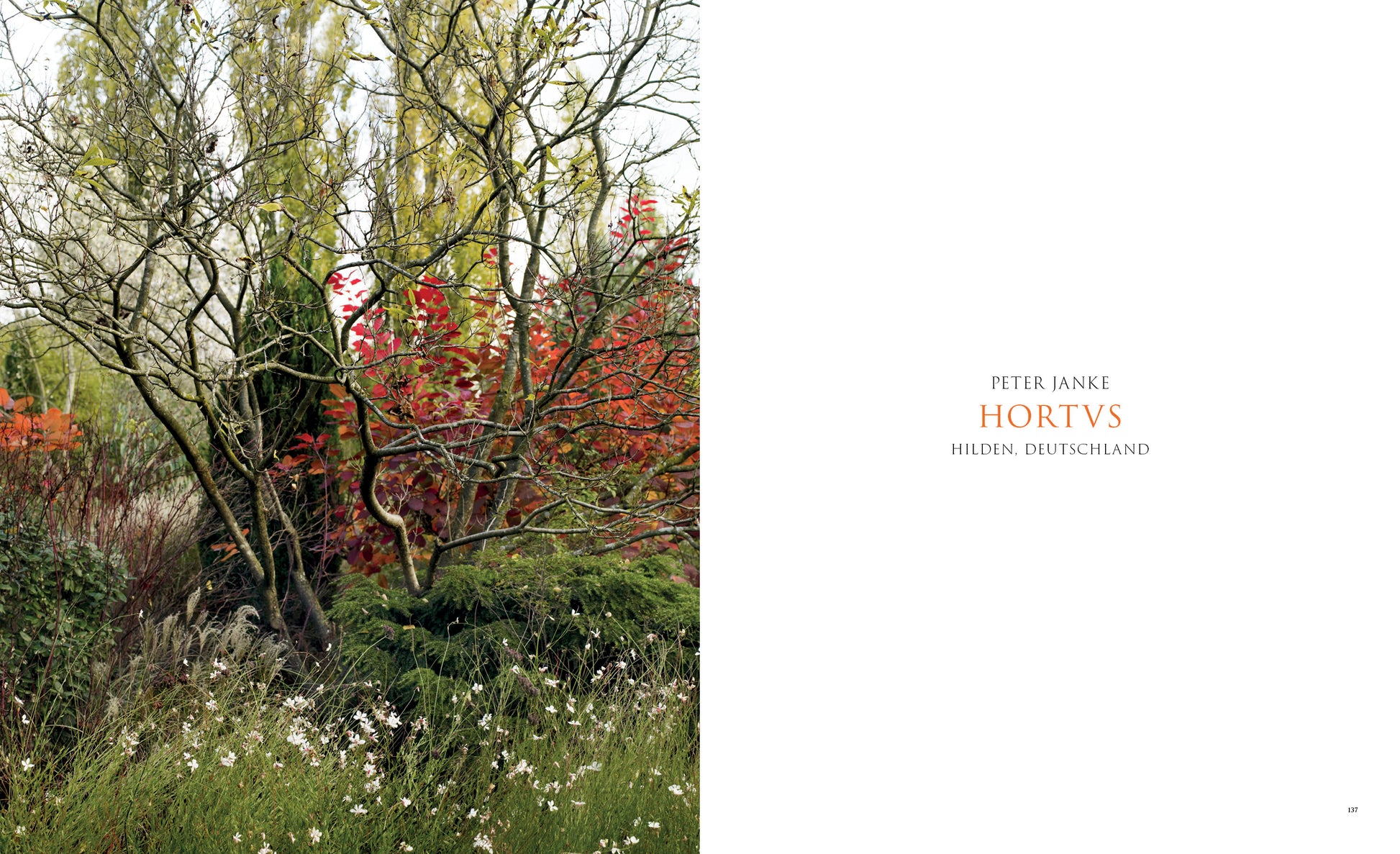 Peter Janke Hortvs Hilden – Herbstlicher Waldgarten mit Felsenbirne und Cotinus, Pastorale Gärten Bildband