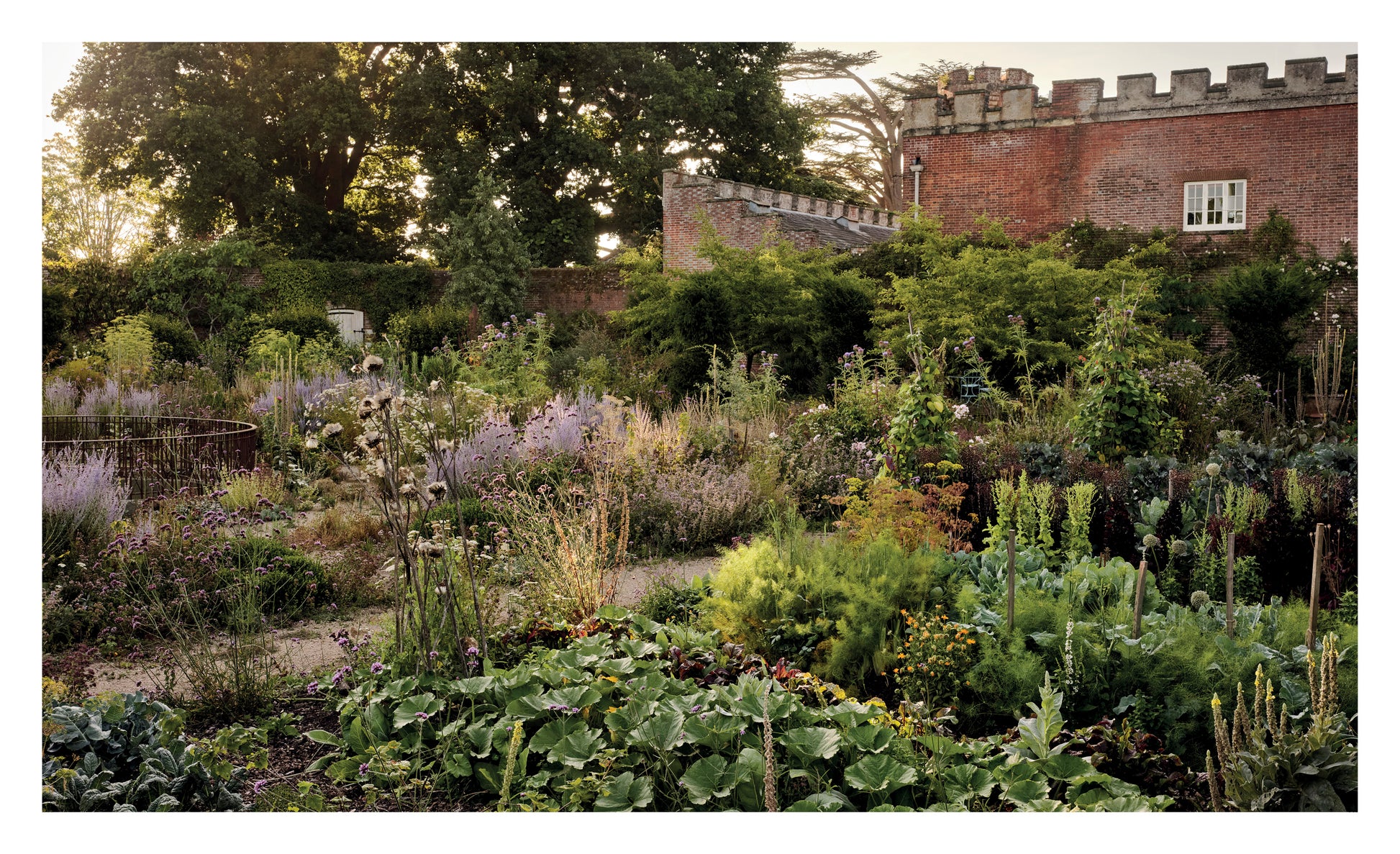 Knepp Walled Garden Sussex – Foraging Garden mit Isabella Tree und Tom Stuart-Smith, Pastorale Gärten Bildband