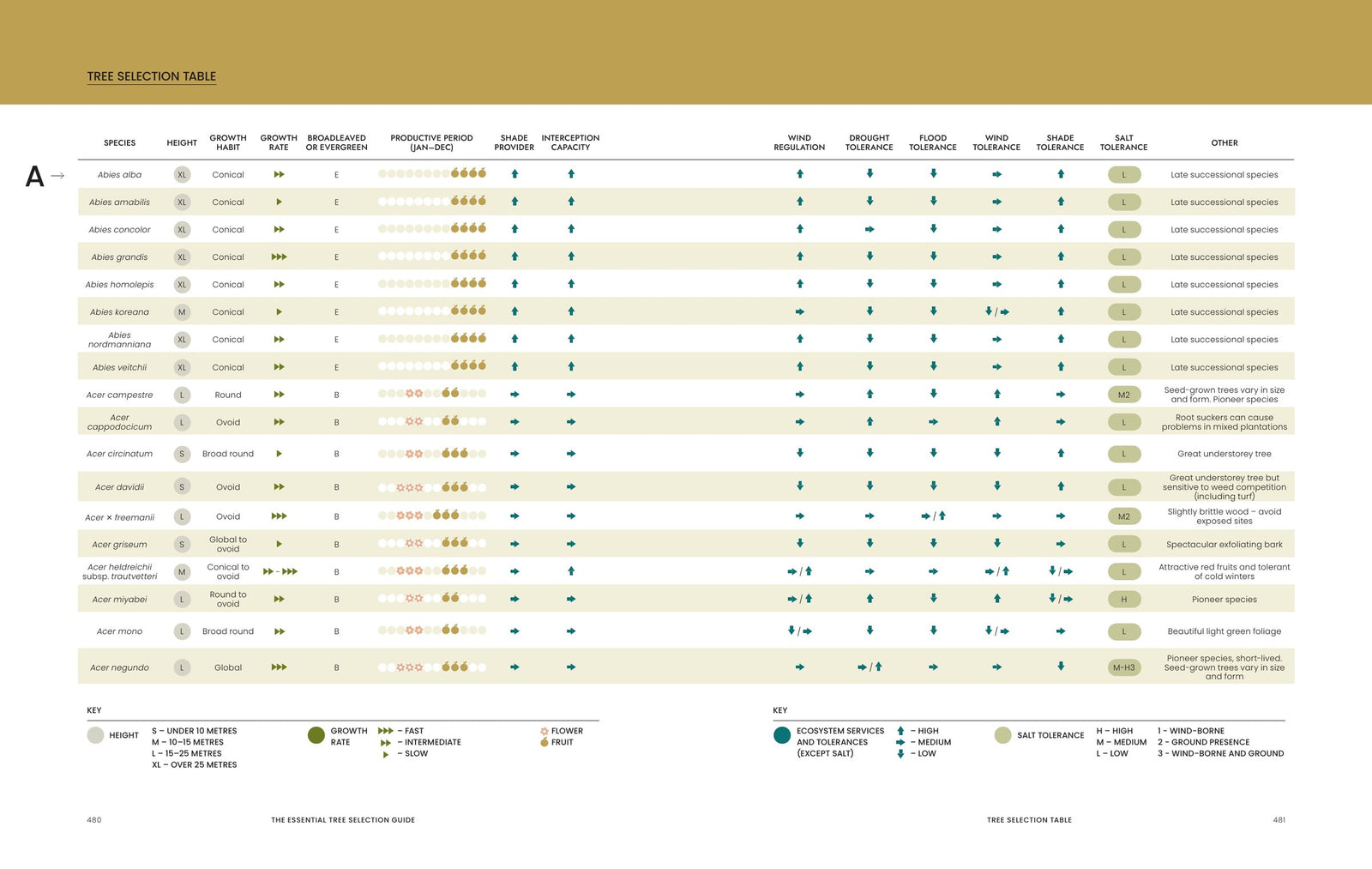 Tree Selection Table: Wuchshöhe, Trockenheits-, Überflutungs- und Salztoleranz im Vergleich