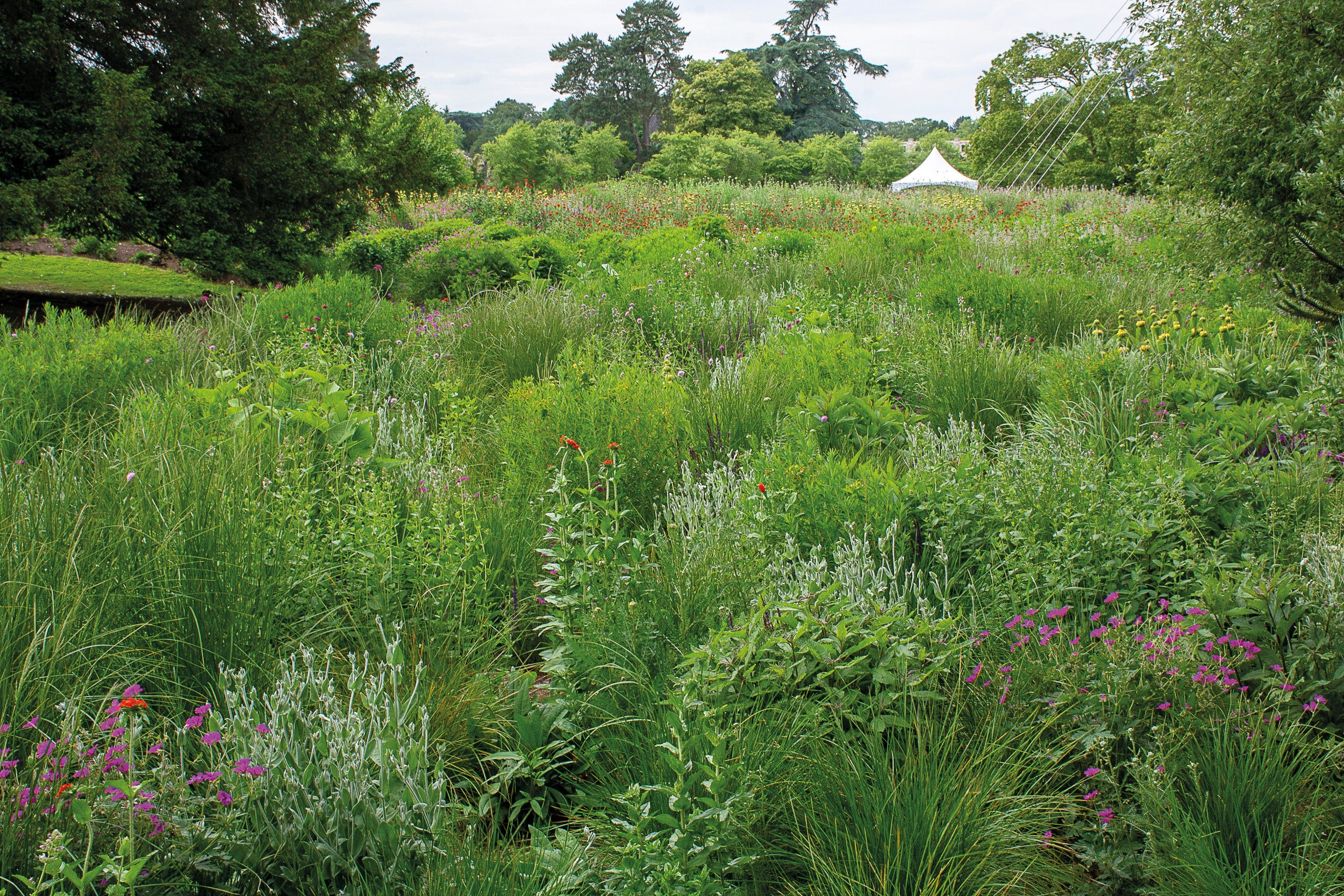 Naturalistischer Stauden-Garten in Trentham Gardens, Staffordshire